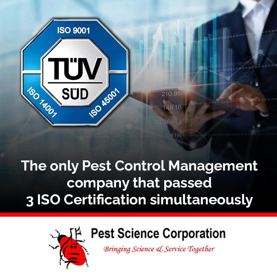 The Gold Standard of Protection: 10 Years of Triple-ISO Excellence